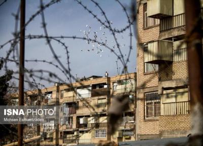 نویسندگان ایرانی چندان به درد مهاجرت نپرداخته اند