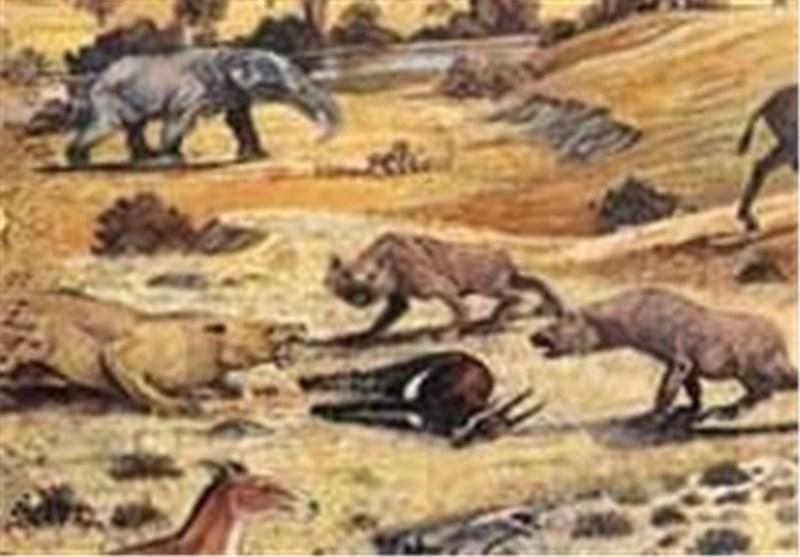 موزه فسیل در خراسان جنوبی راه اندازی می شود