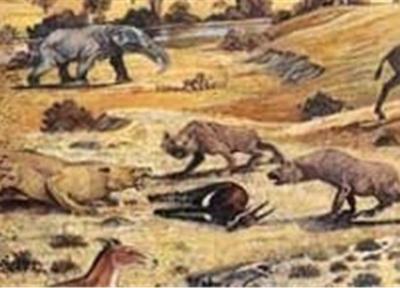 موزه فسیل در خراسان جنوبی راه اندازی می شود