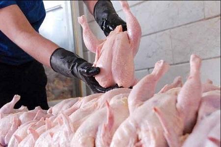 لغو کلیه مجوزهای صادرات مرغ از 14 تیر ماه لغو کلیه مجوزهای صادرات مرغ از 14 تیر ماه