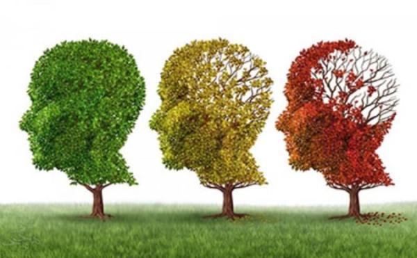 توصیه هایی برای ارتباط با بیماران آلزایمر (زوال عقل)