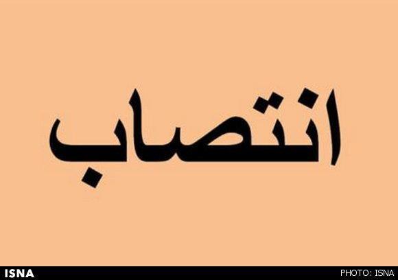 مدیرکل جدید دفتر امور زنان و خانواده استانداری زنجان منصوب مدیرکل تازه دفتر امور زنان و خانواده استانداری زنجان منصوب شد